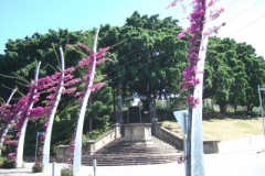aus_b_031