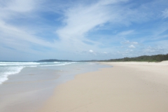 aus_bb_013