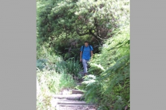 aus_bm_018