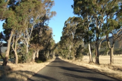 aus_g_002
