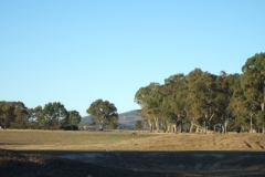 aus_g_004