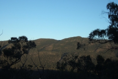 aus_g_005