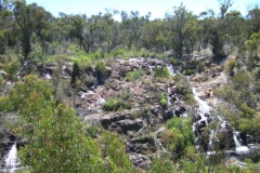 aus_g_013