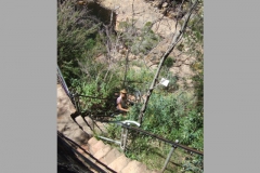 aus_g_016
