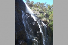 aus_g_017