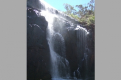 aus_g_018