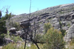 aus_g_020