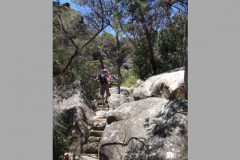 aus_g_022