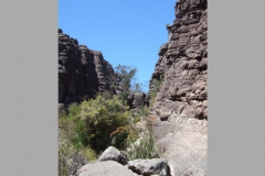 aus_g_023