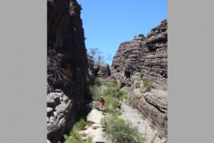 aus_g_024