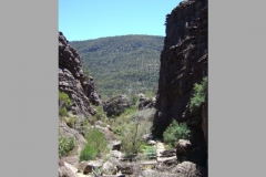 aus_g_025