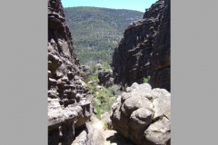 aus_g_026