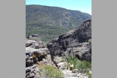 aus_g_027