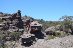 aus_g_028