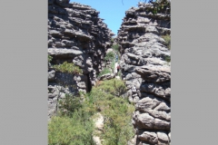 aus_g_030
