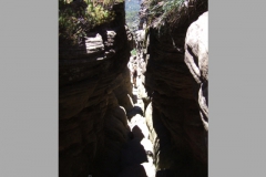 aus_g_036