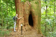 aus_gc_025