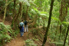 aus_gc_026