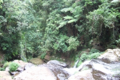 aus_gc_028