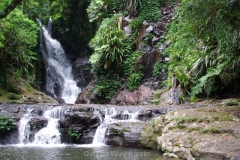 aus_gc_029