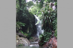 aus_gc_030