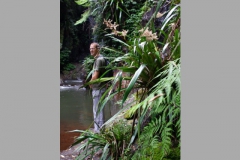 aus_gc_031