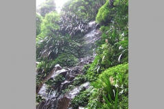 aus_gc_032