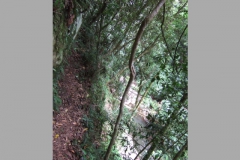 aus_gc_034