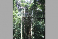 aus_gc_038