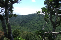aus_gc_039