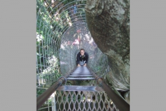 aus_gc_041