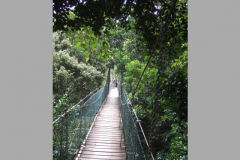 aus_gc_042