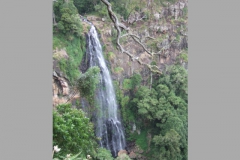 aus_gc_044