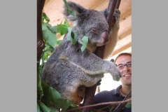 aus_gc_053