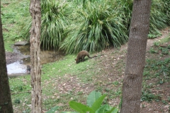 aus_gc_057