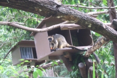 aus_gc_059