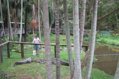 aus_gc_062