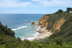 aus_gor_001