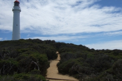 aus_gor_005