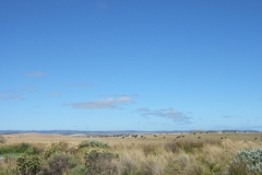 aus_gor_013