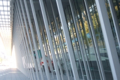 aus_m_006