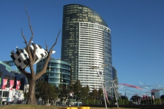 aus_m_009