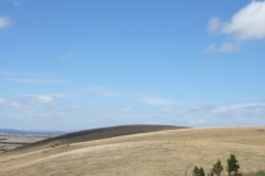 aus_pi_003