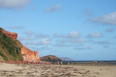 aus_pi_005