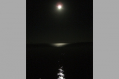 aus_pi_010