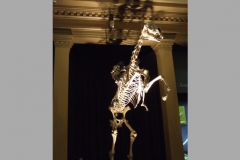 aus_s_024