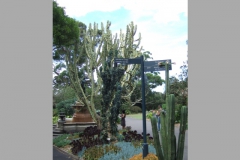aus_s_030