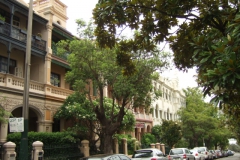 aus_s_042