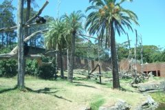 aus_s_073