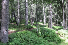 aut_lz_0150